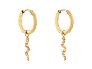 Oorbellen klein met hanger slang
