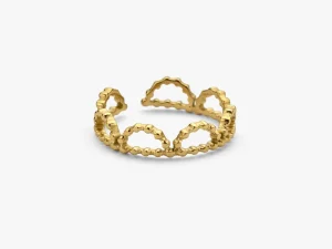 Ring Hayes