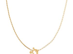 Ketting twee kettingen gedraaid en schakels